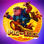 Pig Of Luck