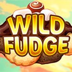 Wild Fudge