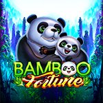Bamboo Fortune